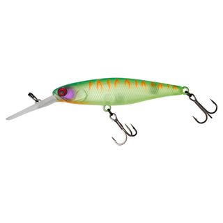 DD SQUIRREL 79 SP