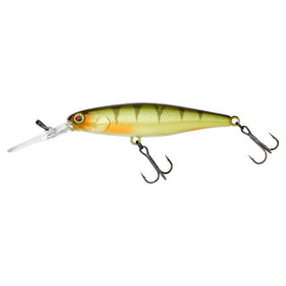 DD SQUIRREL 67 SP
