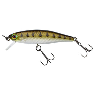 TINY FRY 50 SP