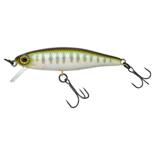TINY FRY 50 SP