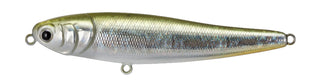 Chihuahua 110