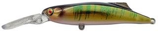 Damiki Sokil 55