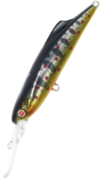 Damiki Sokil 55