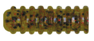 Damiki Spine 102