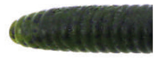 Damiki Stinger 140