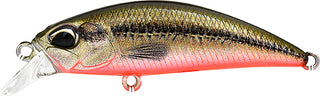 RYUKI 50 SK SPEARHEAD