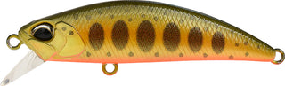 RYUKI 50 SK SPEARHEAD