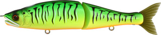 JOINTED CLAW 178 SS