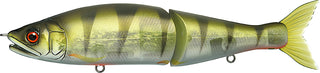 JOINTED CLAW 178 SS