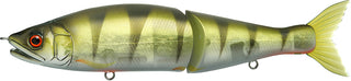 JOINTED CLAW SS MAGNUM