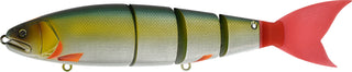 BALAM 245