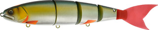 BALAM 300