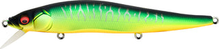 VISION 110 FW