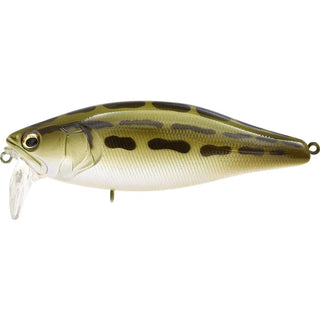 MEGABASS I JACK