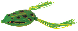 BRONZEYE FROG JR