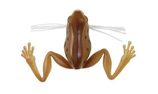 Harima Namagaeru