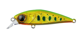 Harima Puellano 50