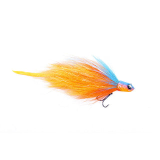 CRAZY RABBIT SHALLOW