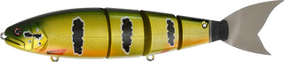BALAM 245