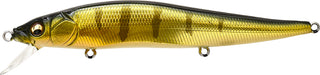 VISION 110 FW