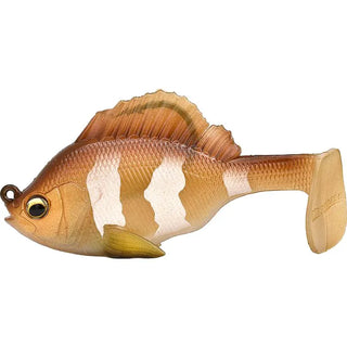 SLEEPER GILL