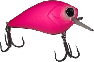 Damiki BTC60